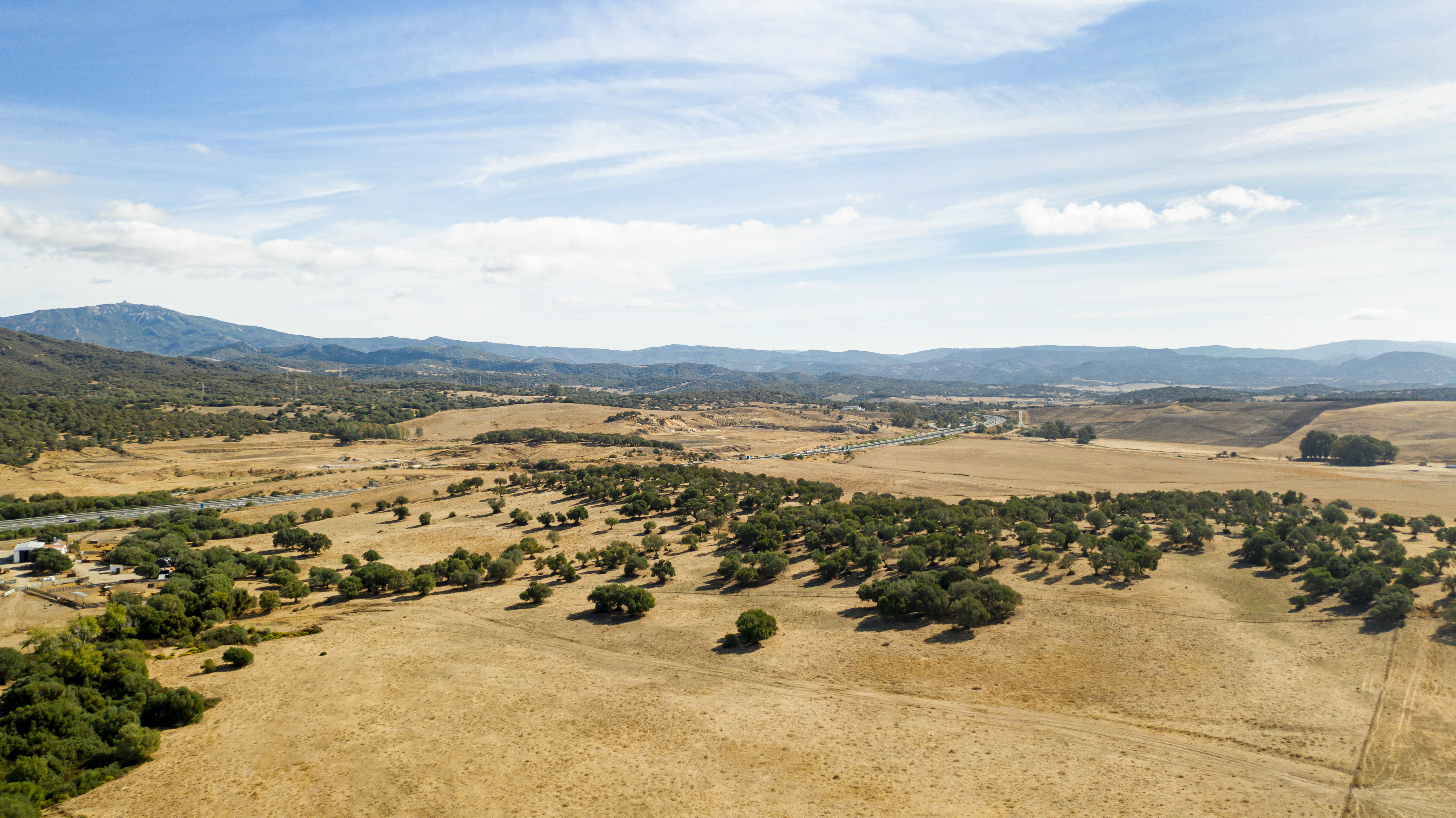 New Mexico